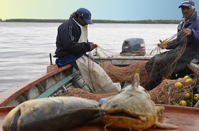 El Gobierno de Santa Fe otorgará una ayuda mensual a los pescadores afectados por la bajante del río Paraná