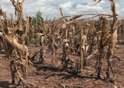 A la fecha, la sequía 2021/22 les costará a los productores agropecuarios US$ 2.930 millones