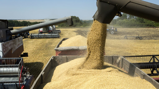 En el 2022, las exportaciones argentinas de soja y de maíz rompieron récord
