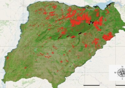 Información satelital sobre los incendios en Corrientes