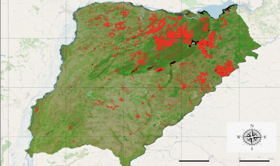 Información satelital sobre los incendios en Corrientes