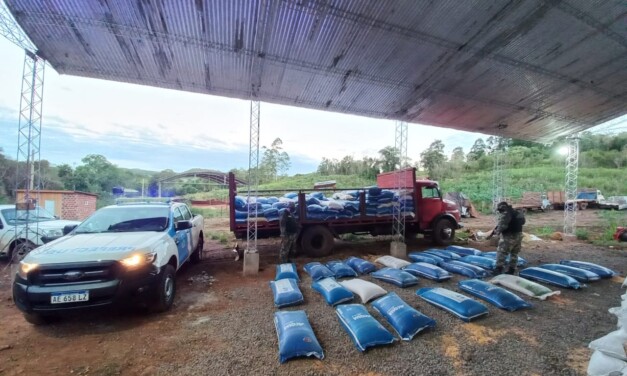 Prefectura incautó un cargamento de granos que iba a ser exportado de manera ilegal