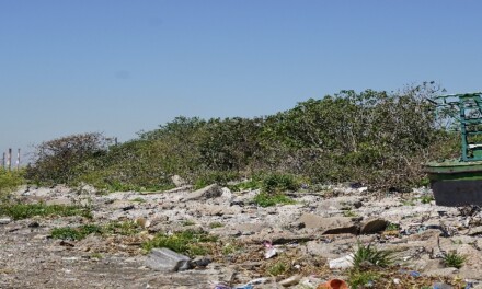 El Puerto Dock Sud limpiará la playa de Puerto Piojo junto con la comunidad