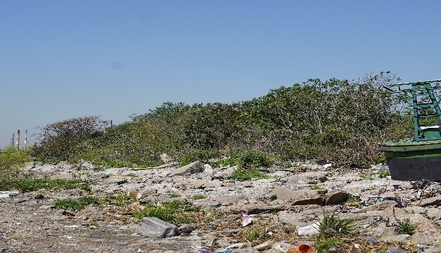 El Puerto Dock Sud limpiará la playa de Puerto Piojo junto con la comunidad
