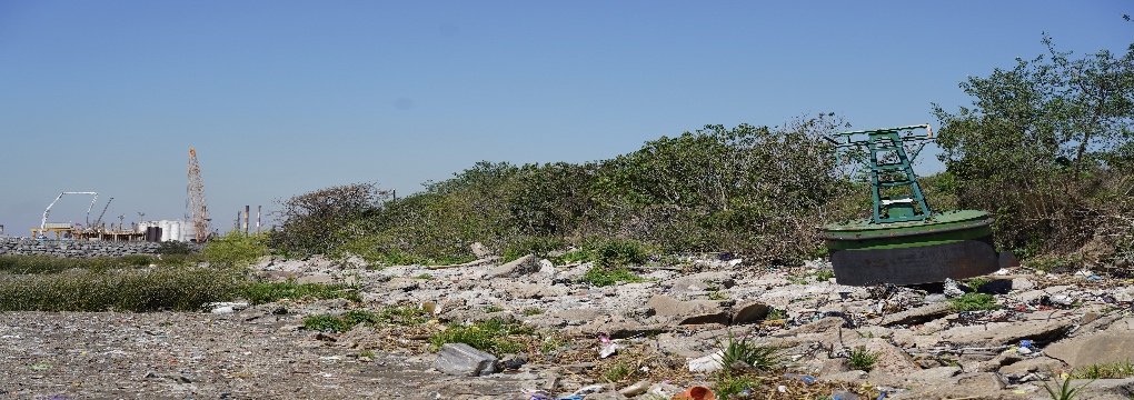 El Puerto Dock Sud limpiará la playa de Puerto Piojo junto con la comunidad