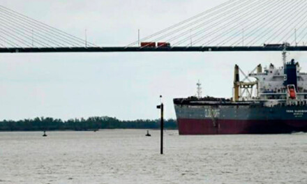 Bajante del Paraná: El tonelaje promedio de buques en enero fue el más bajo de que se tenga registro