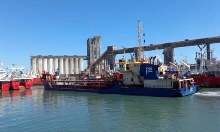 Mar del Plata: El dragado ya se completó en un 80% y esperan que termine en marzo