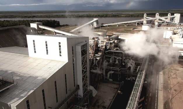 Nuevo récord de recaudación por la exportación agroindustrial