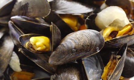 Tierra de Fuego: Sigue vigente la veda de recolección, comercialización y consumo de moluscos bivalvos