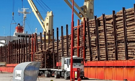 Se concretó la primera exportación del año desde los puertos entrerrianos