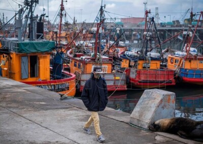 Mar del Plata: Armadores costeros rechazaron la prohibición judicial para la pesca