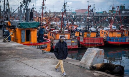 Mar del Plata: Armadores costeros rechazaron la prohibición judicial para la pesca