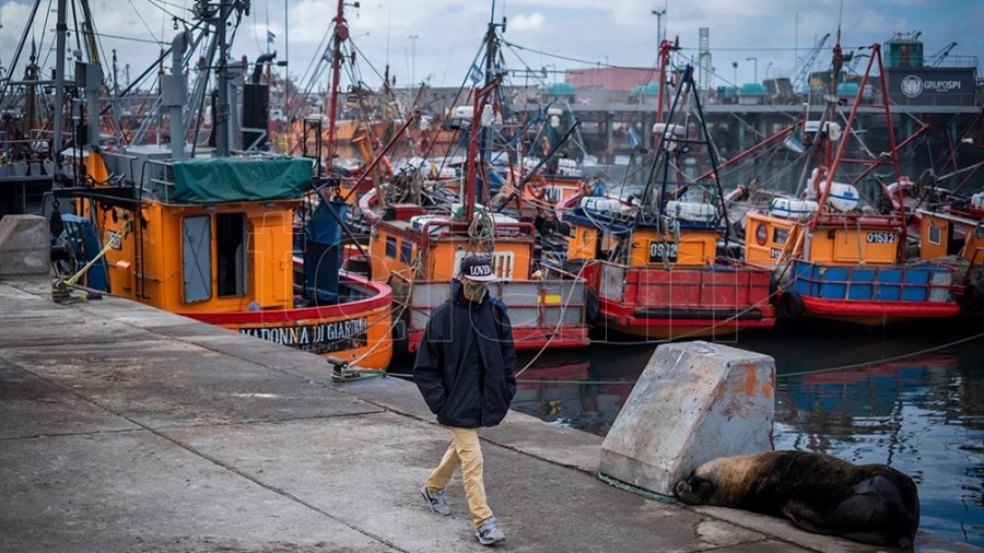 Mar del Plata: Armadores costeros rechazaron la prohibición judicial para la pesca