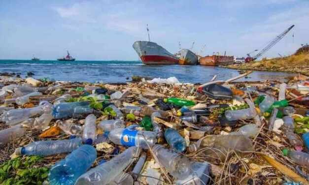 Los residuos plásticos ya contaminaron «todos los rincones de los océanos»