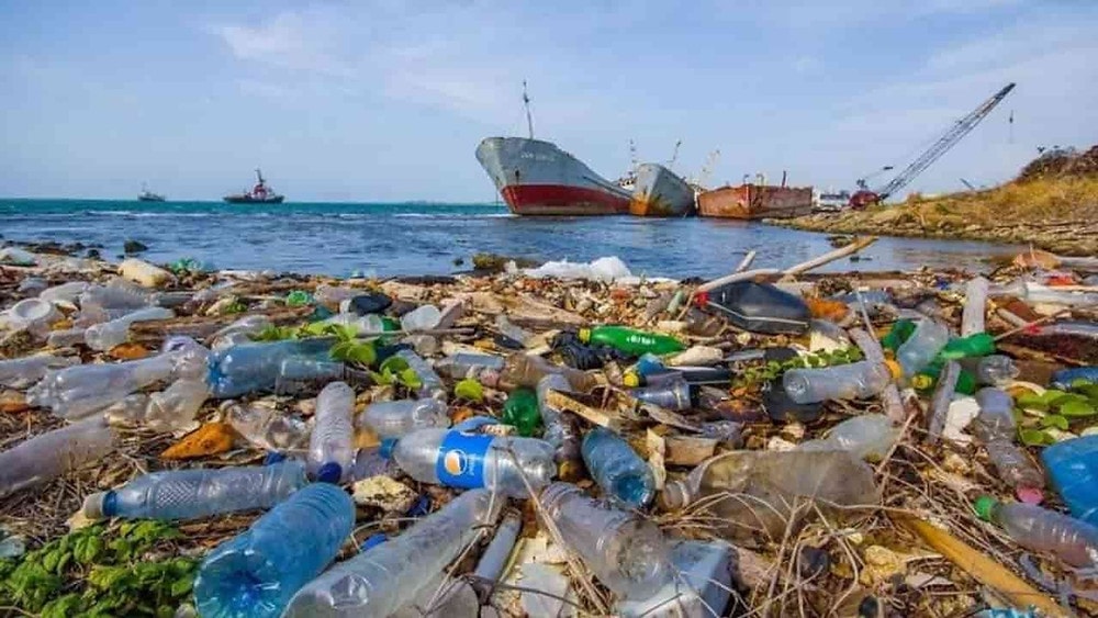 Los residuos plásticos ya contaminaron “todos los rincones de los océanos”