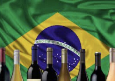 Nuevo certificado analítico exclusivo para Brasil agiliza las exportaciones argentinas de vino