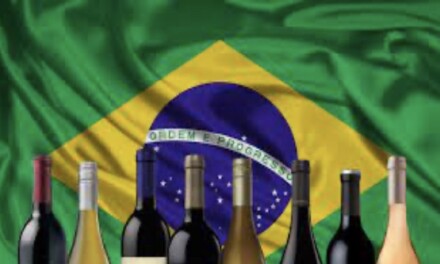 Nuevo certificado analítico exclusivo para Brasil agiliza las exportaciones argentinas de vino