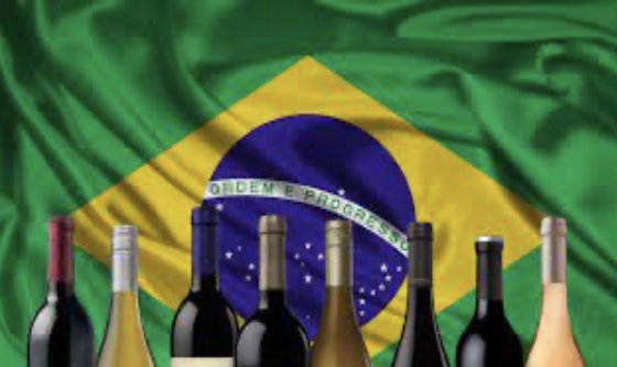 Nuevo certificado analítico exclusivo para Brasil agiliza las exportaciones argentinas de vino