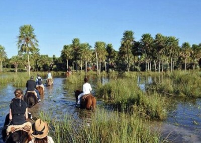 Apoyo a prestadores turísticos de la provincia de Corrientes