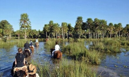 Apoyo a prestadores turísticos de la provincia de Corrientes
