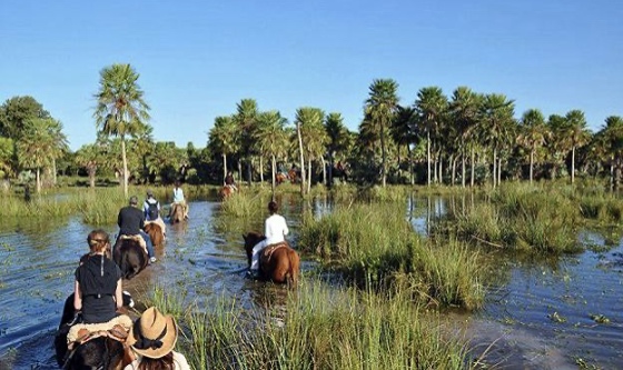 Apoyo a prestadores turísticos de la provincia de Corrientes