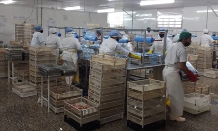 Para exportar a la Unión Europea, habilitan de un establecimiento pesquero