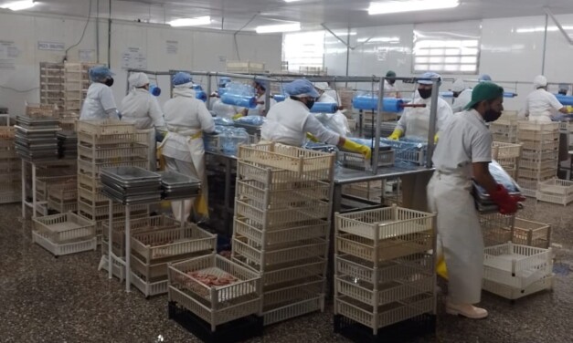 Para exportar a la Unión Europea, habilitan de un establecimiento pesquero