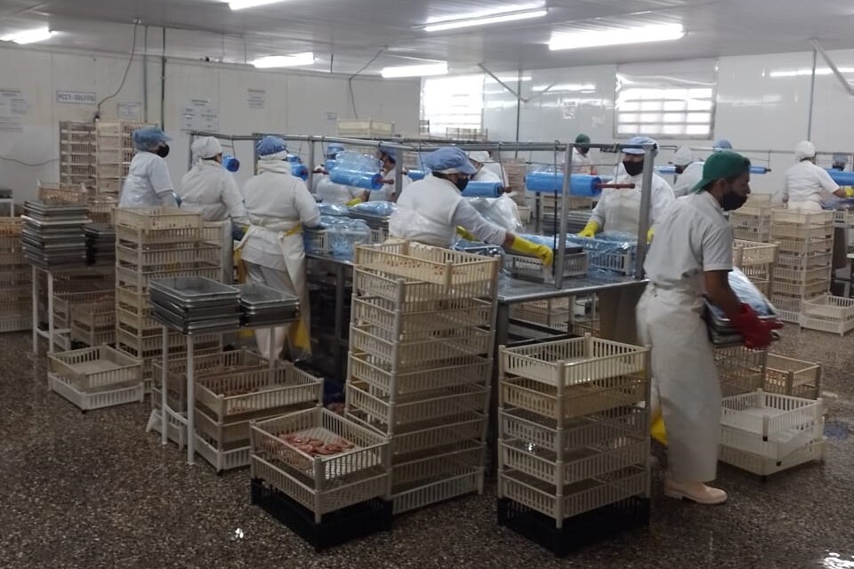 Para exportar a la Unión Europea, habilitan de un establecimiento pesquero