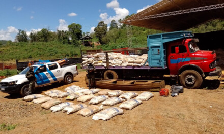 Prefectura secuestró casi siete toneladas de soja en Misiones