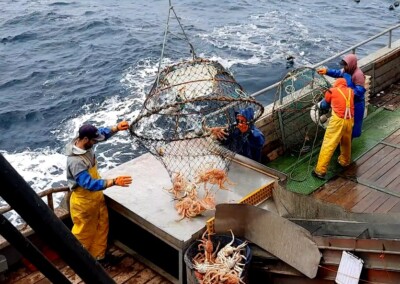 La pesquería de centolla en Argentina recibió la Certificación del Marine Stewardship Council