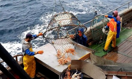 La pesquería de centolla en Argentina recibió la Certificación del Marine Stewardship Council