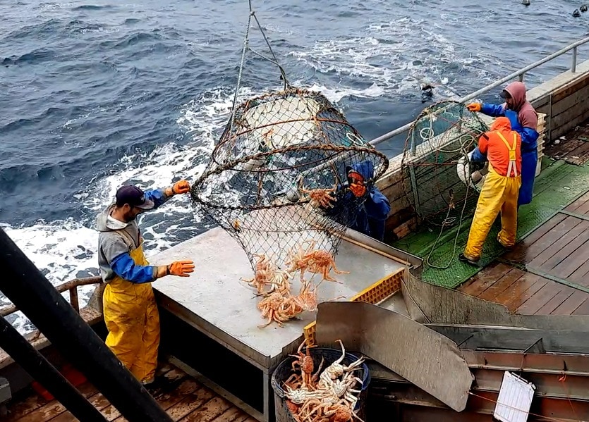 La pesquería de centolla en Argentina recibió la Certificación del Marine Stewardship Council