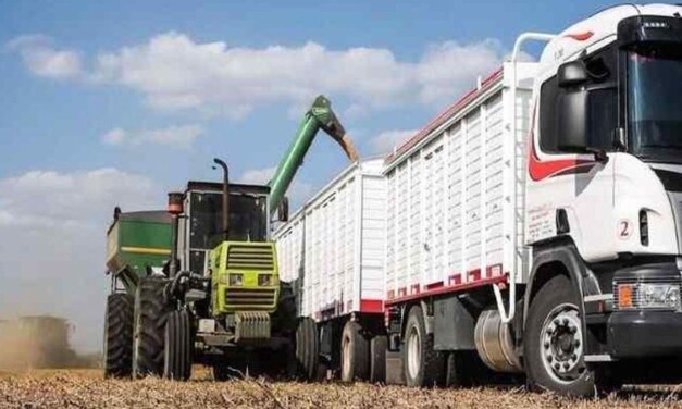 Las pérdidas por el paro del transporte podrían alcanzar los u$d100 millones