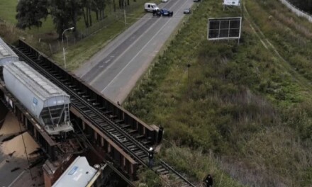 Descarriló un tren de cargas sobre el puente La Virginia