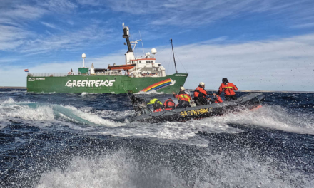 Greenpeace invita a conocer el barco Arctic Sunrise este fin de semana en el puerto de Buenos Aires