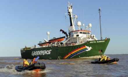 La pesca desregulada impide que los ecosistemas se recuperen explica Greenpeace