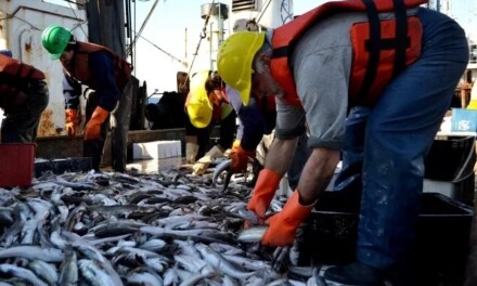 Argentina y Brasil acordaron duplicar el piso de exportación de merluza patagónica