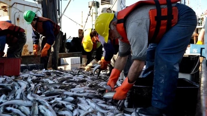 Argentina y Brasil acordaron duplicar el piso de exportación de merluza patagónica