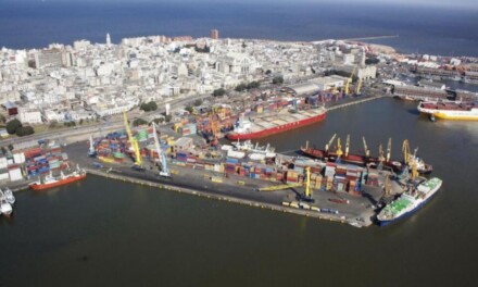 Puerto Montevideo: Auditoria de la ANP detecta irregularidades en las áreas donde operaba Montecon