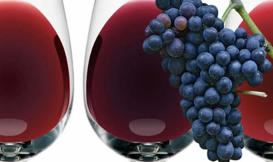 El Malbec como bandera en la vinicultura argentina