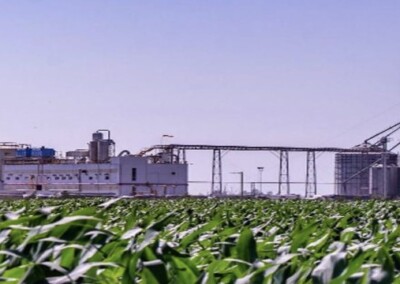 La agrobioindustria en la agenda internacional de cooperación entre Argentina y Brasil