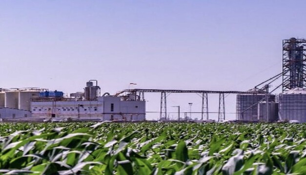 La agrobioindustria en la agenda internacional de cooperación entre Argentina y Brasil