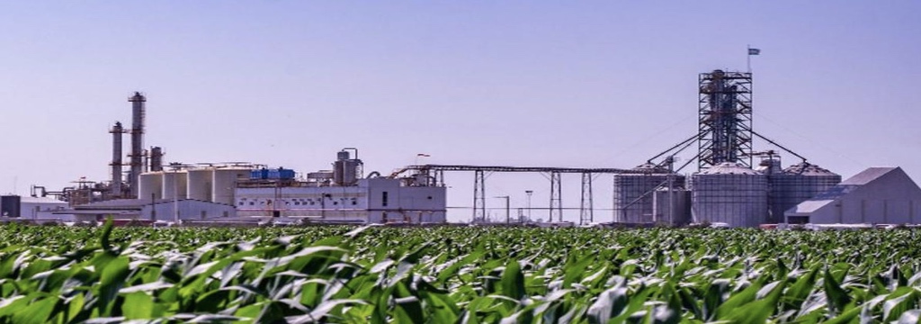 La agrobioindustria en la agenda internacional de cooperación entre Argentina y Brasil