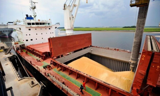 La guerra en Ucrania podría aumentar las exportaciones de cereales argentinos