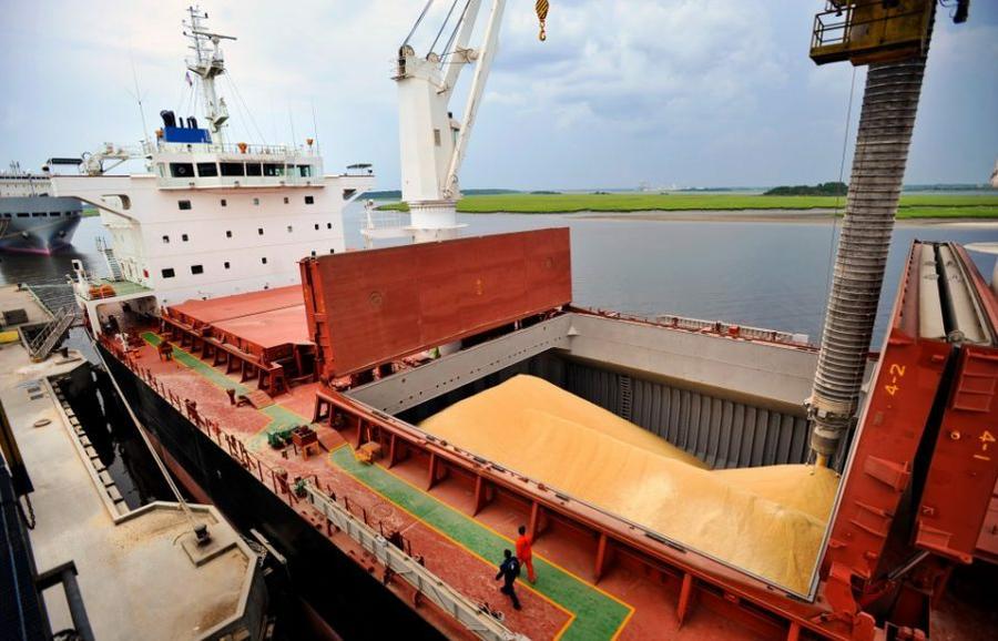 La guerra en Ucrania podría aumentar las exportaciones de cereales argentinos