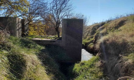 El Canal de Navegación del Norte de la Provincia de Buenos Aires. Testimonio de un país que no fue