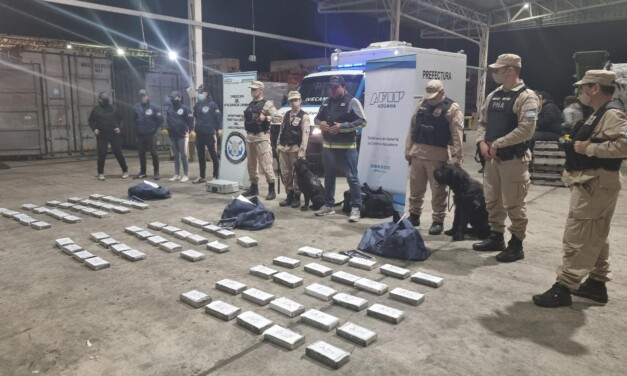 Zárate: Prefectura decomisó más de 78 kilos de cocaína que estaban ocultos en un buque