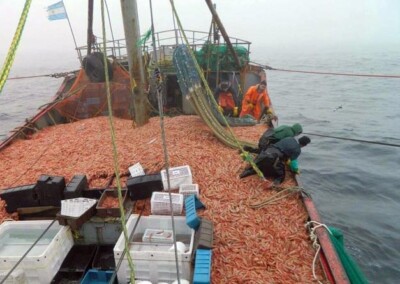 Capacitan a observadores para la temporada de pesca de langostino