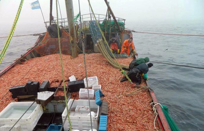 Capacitan a observadores para la temporada de pesca de langostino