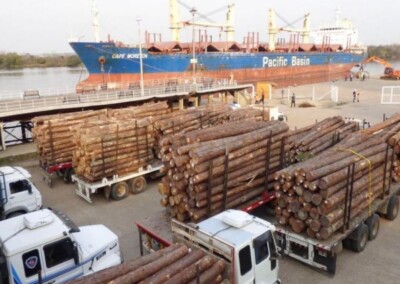 Desde los puertos entrerrianos exportan pino a la India